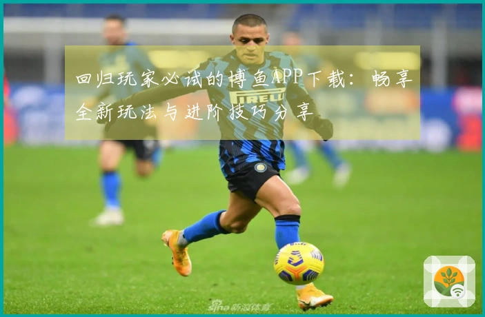 回归玩家必试的博鱼APP下载：畅享全新玩法与进阶技巧分享