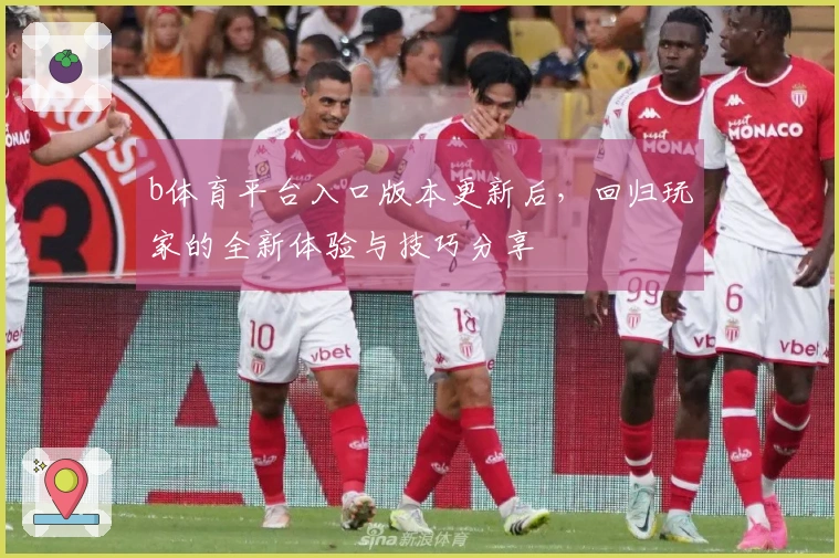 b体育平台入口版本更新后，回归玩家的全新体验与技巧分享