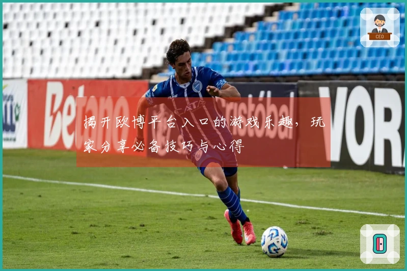 揭开欧博平台入口的游戏乐趣，玩家分享必备技巧与心得