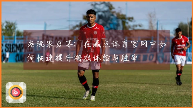 老玩家分享：在赢点体育官网中如何快速提升游戏体验与胜率