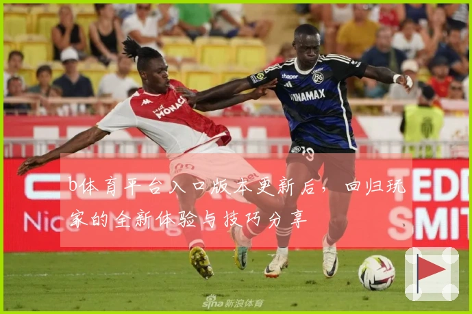 b体育平台入口版本更新后，回归玩家的全新体验与技巧分享