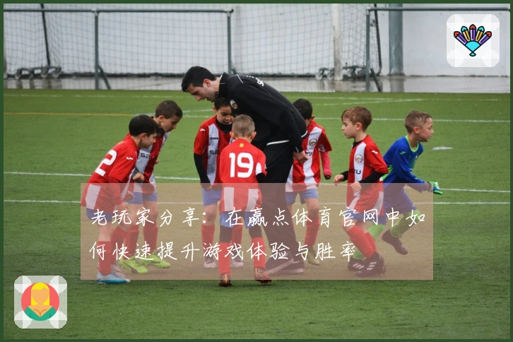 老玩家分享：在赢点体育官网中如何快速提升游戏体验与胜率