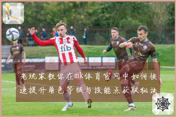 老玩家教你在mk体育官网中如何快速提升角色等级与技能点获取秘诀