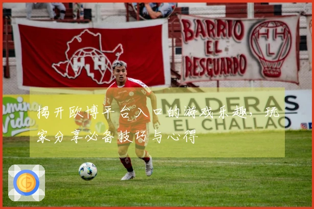 揭开欧博平台入口的游戏乐趣，玩家分享必备技巧与心得